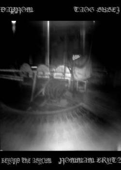 Beyond The Asylum : Dapnom & Taog Susej & Nommam Erytz & Beyond The Asylum